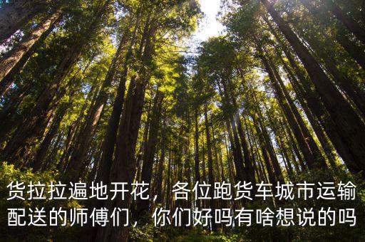 濟(jì)南找貨拉拉的電話是多少,貨拉拉司機一個月能賺多少錢