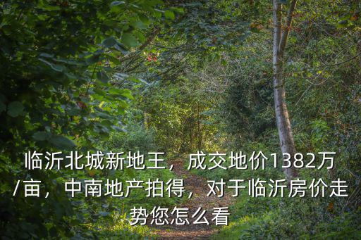 臨沂北城地王地面價合多少錢一平,臨沂北城新地王
