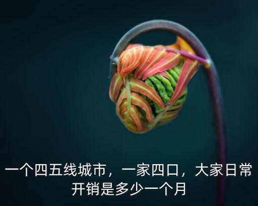 一個四五線城市，一家四口，大家日常開銷是多少一個月