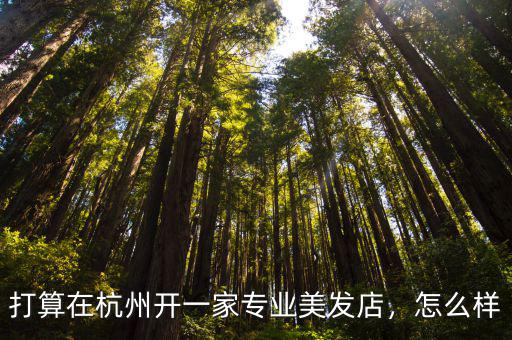 打算在杭州開一家專業美發店，怎么樣