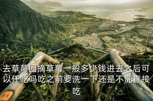 廣東草莓味爆爆珠多少錢,去草莓園摘草莓一般多少錢
