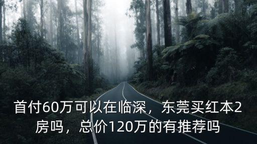 東莞有多少套紅本房,在東莞有一套房
