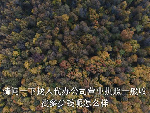 請問一下找人代辦公司營業執照一般收費多少錢呢怎么樣