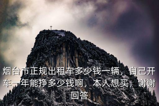 煙臺市正規出租車多少錢一輛，自己開車一年能掙多少錢啊，本人想買，謝謝回答