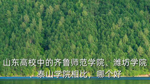 山東高校中的齊魯師范學(xué)院、濰坊學(xué)院、泰山學(xué)院相比，哪個(gè)好