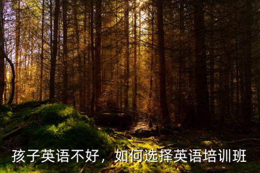 河源幼兒英語培訓(xùn)班怎么學(xué)好英語,如何選擇幼兒英語培訓(xùn)班