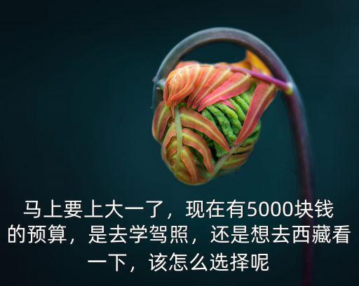 馬上要上大一了，現在有5000塊錢的預算，是去學駕照，還是想去西藏看一下，該怎么選擇呢