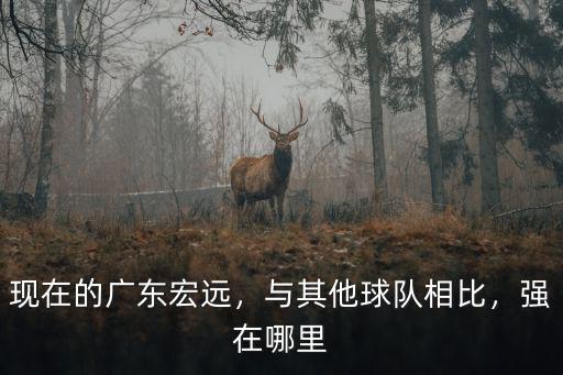 廣東厲害在哪里,現在的廣東宏遠