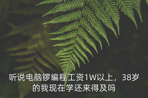 2019威海電腦編程工資是多少,計(jì)算機(jī)應(yīng)屆生月薪大多是多少