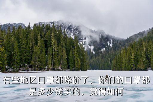 有些地區口罩都降價了，你們的口罩都是多少錢買的，覺得如何