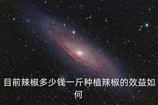 目前辣椒多少錢一斤種植辣椒的效益如何