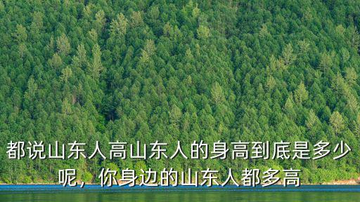 都說山東人高山東人的身高到底是多少呢，你身邊的山東人都多高
