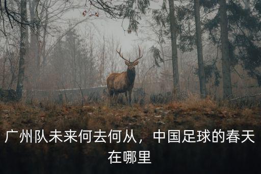 廣州隊(duì)未來(lái)何去何從，中國(guó)足球的春天在哪里