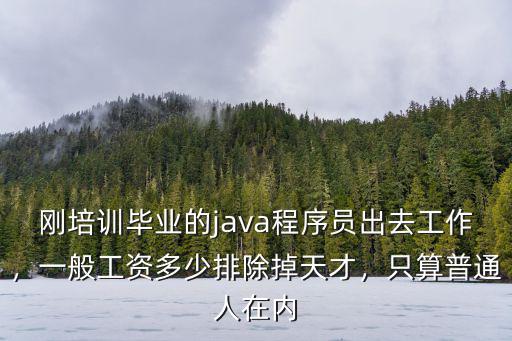 剛培訓(xùn)畢業(yè)的java程序員出去工作，一般工資多少排除掉天才，只算普通人在內(nèi)