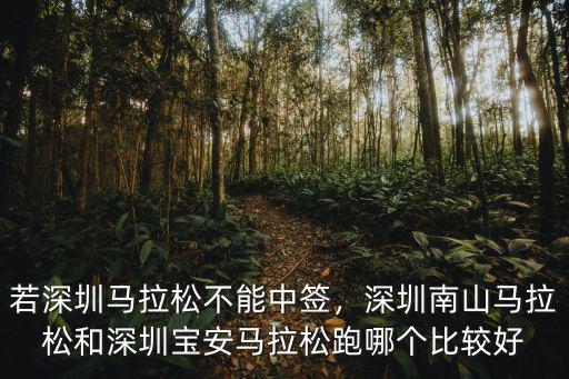深圳馬拉松比賽多少錢,深圳南山半程馬拉松比賽中