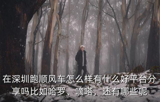 在深圳跑順風車要多少錢,在深圳跑順風車怎么樣