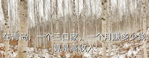 青島市正常月收入多少錢,一個月賺多少錢算是高收入