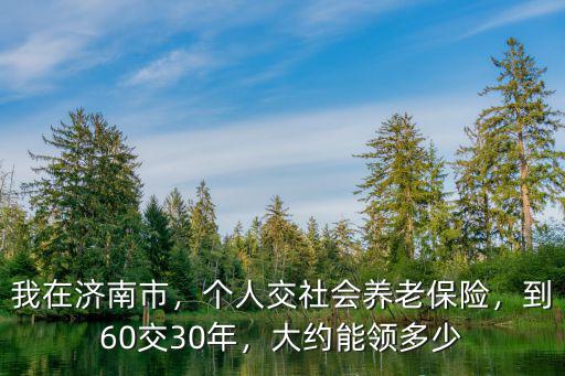 我在濟南市，個人交社會養老保險，到60交30年，大約能領多少