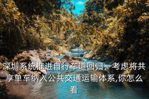 深圳共享單車有多少,深圳系統推進自行車道回歸
