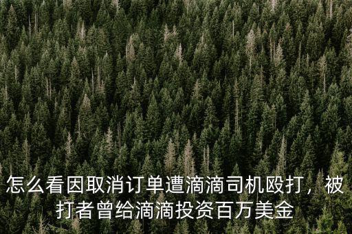怎么看因取消訂單遭滴滴司機毆打，被打者曾給滴滴投資百萬美金