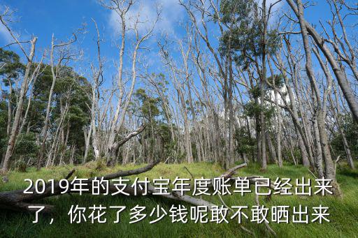 2019年的支付寶年度賬單已經出來了，你花了多少錢呢敢不敢曬出來
