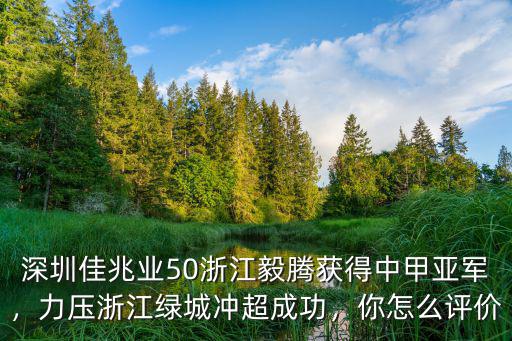 浙江綠城和浙江毅騰的比分是多少,力壓浙江綠城沖超成功