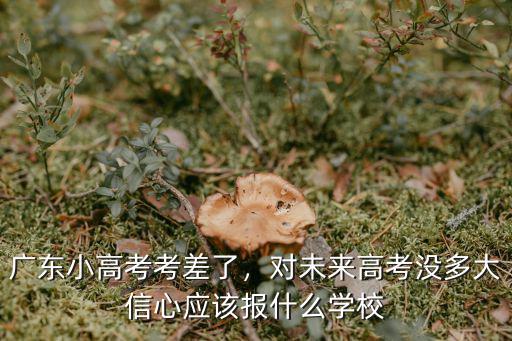 廣東高考差10分怎么報名,廣東小高考考差了