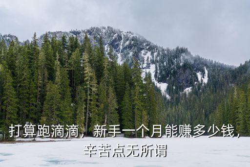 打算跑滴滴，新手一個月能賺多少錢，辛苦點無所謂