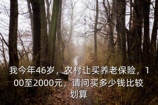 我今年46歲，農村讓買養老保險，100至2000元，請問買多少錢比較劃算