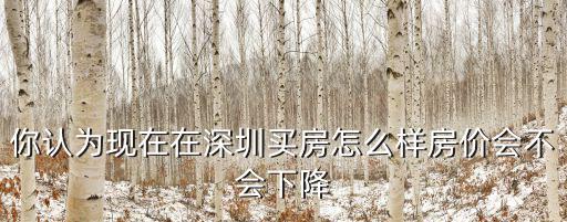 你認為現(xiàn)在在深圳買房怎么樣房價會不會下降