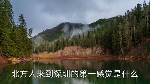 北方人來到深圳的第一感覺是什么