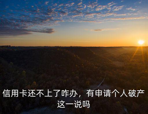 信用卡還不上了咋辦，有申請(qǐng)個(gè)人破產(chǎn)這一說嗎