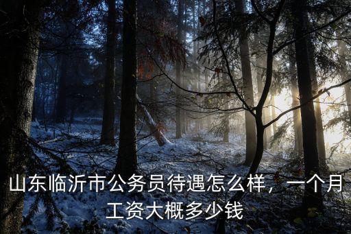 山東一個(gè)月工資大概多少,山東臨沂市公務(wù)員待遇怎么樣