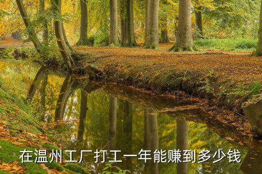在溫州工廠打工一年能賺到多少錢