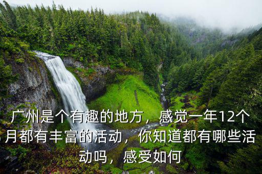 十二月份廣州哪里有活動,12月廣州哪里有花看
