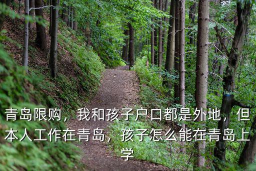 青島限購，我和孩子戶口都是外地，但本人工作在青島，孩子怎么能在青島上學