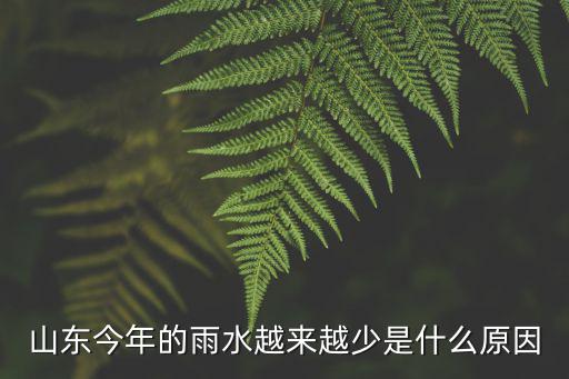 今年山東有多少雨,為啥山東今年雨下得很大