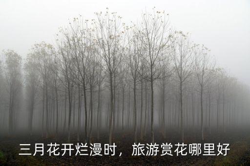 三月花開爛漫時(shí)，旅游賞花哪里好