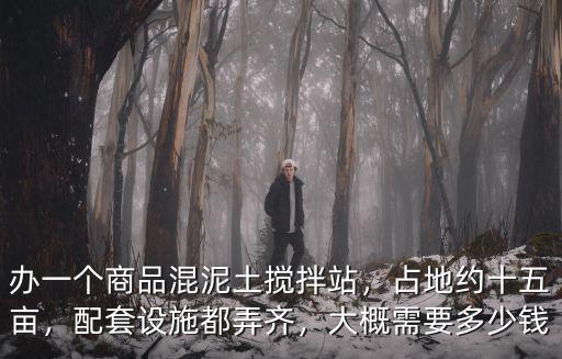 舟山攪拌站多少錢一個,辦一個商品混泥土攪拌站