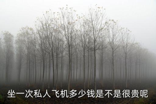 山東團(tuán)體包機(jī)飛機(jī)多少錢,坐一次私人飛機(jī)多少錢