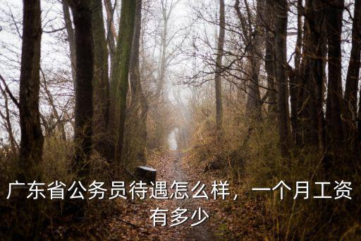 廣東省公務員待遇怎么樣，一個月工資有多少