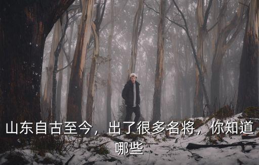 山東自古至今，出了很多名將，你知道哪些
