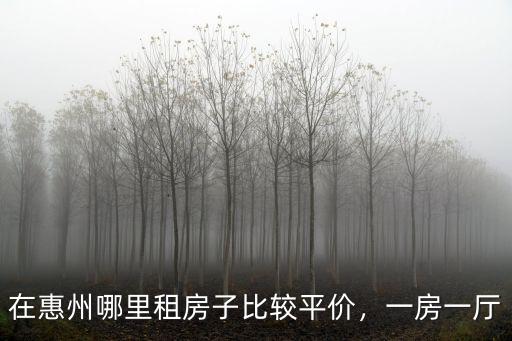 惠州惠城區(qū)在哪里找租房子,請問哪里的房子合適
