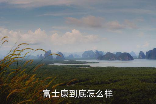深圳富士康ie工程師怎么樣,深圳富士康工作怎么樣