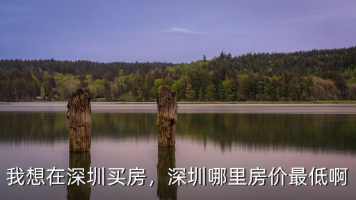 深圳羅湖龍中在哪里,在深圳到底選擇沙井還是龍中
