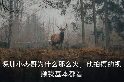 深圳小杰哥為什么那么火，他拍攝的視頻我基本都看