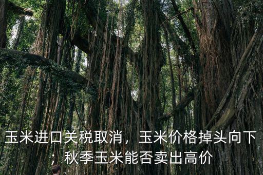 玉米進口關稅取消，玉米價格掉頭向下；秋季玉米能否賣出高價