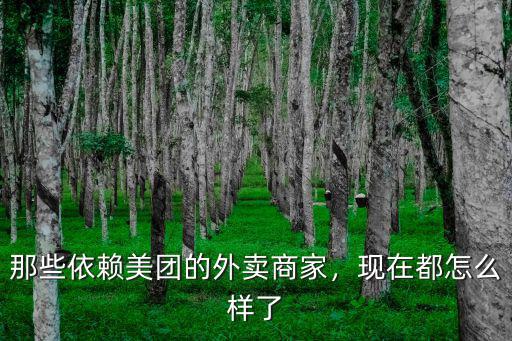 那些依賴美團的外賣商家，現在都怎么樣了