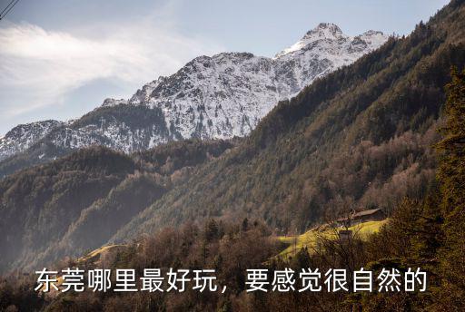 東莞哪里自然環境最好,東莞哪里最好玩