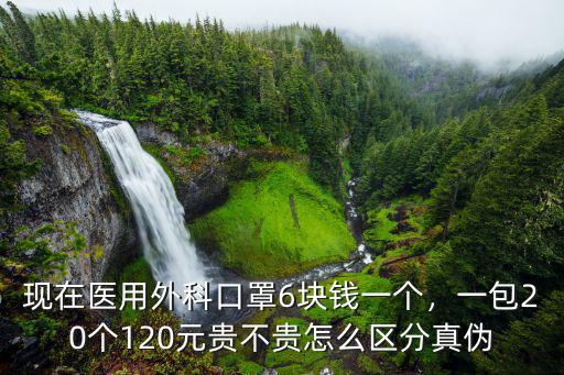 日照三奇醫用外科口罩多少錢一個,現在醫用外科口罩6塊錢一個